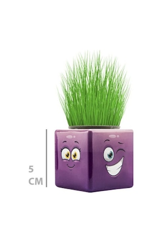 Büro Ev Ofis Dekoru İçin Mini Emoji Figürlü Küp Çim Adamı