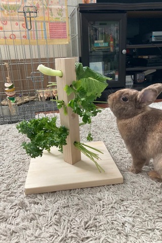 Bunny Tree Ahşap Tavşan Foraging Oyuncağı, Doğal Çam, Zihinsel Uyarım