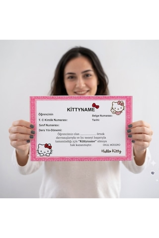 +10 Parça Hello Kitty Hediye Kutusu Lisanslı