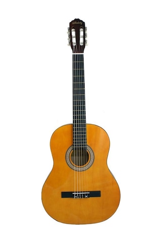 Lichtenberg Cg851 Yw Klasik Gitar Taşıma Çantalı