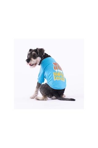 Pawstar Turkuaz Power Polarlı Küçük Irk Köpek Sweatshirtü