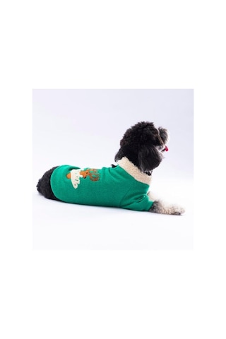 Pawstar Yeşil Alaska Esnek, Küçük Irk Triko Köpek Trikosu