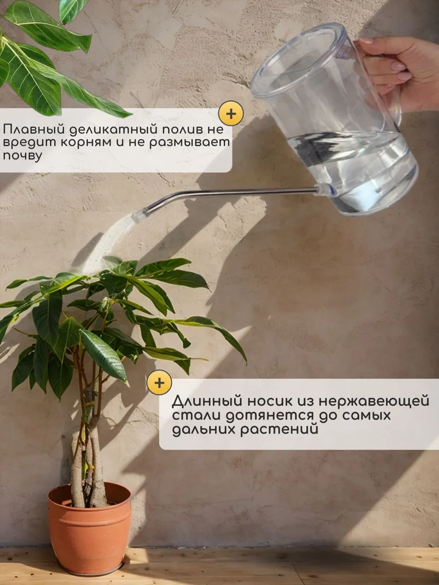 Best Room 1.5 Litre Şeffaf Ev Bitkileri Ve Çiçek Sulama Kabı 293139983