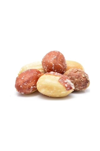 Gürbüzler Yer Fıstığı Hediyelik Kutu 500 G