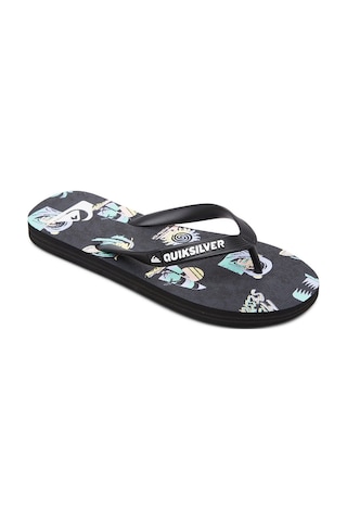 Quiksilver Molokai Art Çocuk Sandalet Gri Gri