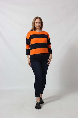 Çizgili Triko Kazak Çok Renkli