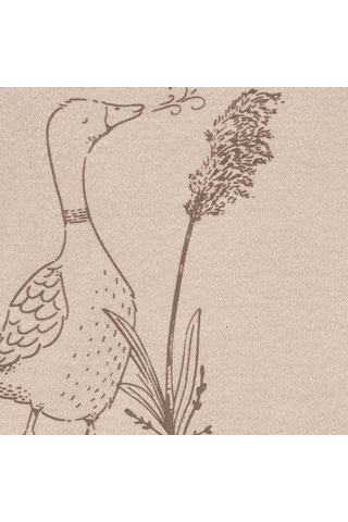 Carter's Layette Bebek 5'li Body Set 1p559710 Krem