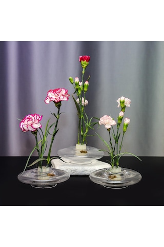 Flora Design-balance Series Cam Vazo Şeffaf