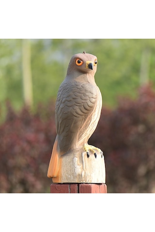 Homyl Kartal Heykeli Plastik Raf Kitaplık Masaüstü Heykelcik Orta