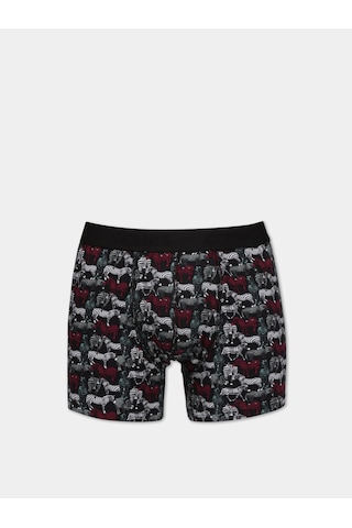 Colin's Colins Modern Fit Baskılı Erkek Çok Renkli Boxer Cl1075779 Q1.v1 Mtc Çok Renkli