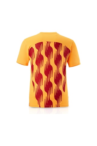 Galatasaray Lisanslı Puma A Takım Sarı-kırmızı Antreman T-shirt 26 Şampiyonluk Ahşap Kutulu 77969304 Sarı - Kırmızı