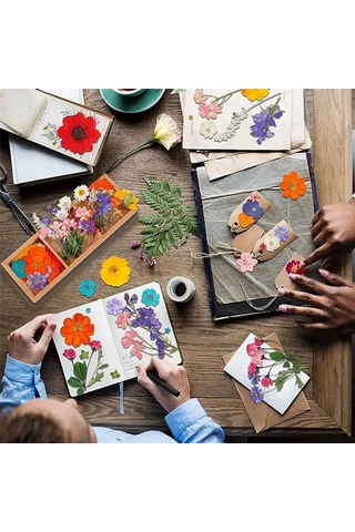 Kurutulmuş Çiçekler Preslenmiş Doğal Bitki Çiçek Mum Epoksi Reçine Kalıp