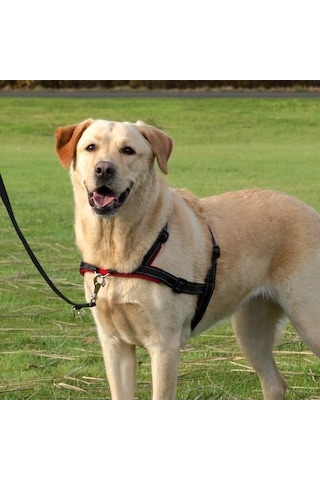 Trixie Köpek Yürüyüş Eğitim Göğüs Tasması M-l Siyah
