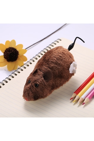 Simulation Toys Random Color Delivery