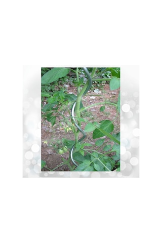 20 Adet 150 Cm Spiral Bitki Destek Teli Sarmal Çiçek Teli Fidan Çubuğu