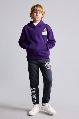 Defacto Nba Los Angeles Lakers Bisiklet Yaka İçi Yumuşak Tüylü Kalın Sweatshirt Kumaşı Basic Sweatshirt Erkek Çocuk I2238a826wnpr368 Mor-pr368