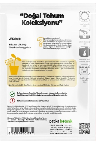 5 Adet Lif Kabağı Tohumu Luffa Aegyptiaca