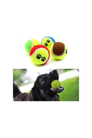 Köpek Oyuncağı 3 Parça Desenli Tenis Topu Kedi Renkli