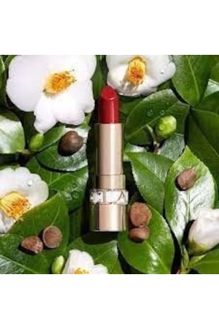 Clarins Joli Satin Lipstick Ruj 742