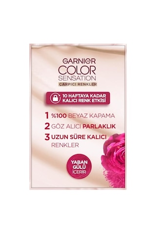 Garnier Çarpıcı Renkler Yoğun Kalıcı Saç Boyası No 4.15 Buzlu Kestane