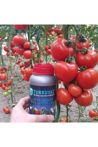 5 L Turkuvaz Bat Power Organik Sıvı Yarasa Gübresi
