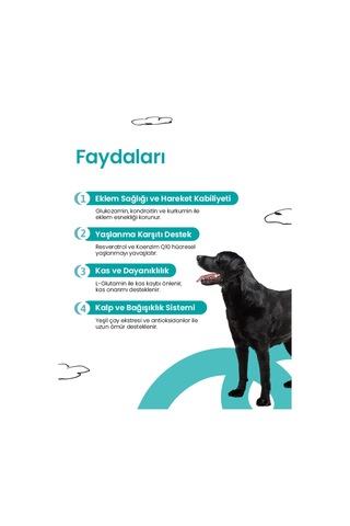 Livepet Köpekler Için Eklem Sağlığı Ve Longevity Tableti 60 Tablet
