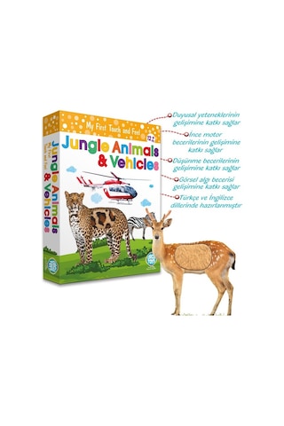 Circle Toys Dokun Hisset Orman Hayvanları Ve Araçlar