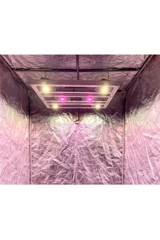 Citi 6 Pro 160w Full Spectrum Grow Led Lamba