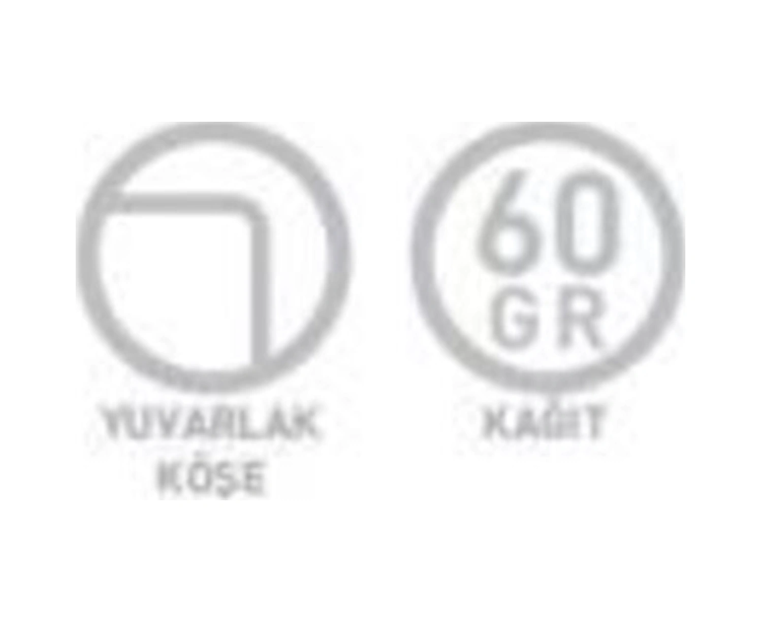Pastoral Spiralli Pp Kapak Defter 17x24cm 60 Yaprak Çizgili 4 Lü Paket 3249