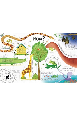 Penguin Books Lift-the-flap Questions and Answers About Animals Board Book Katie Daynes