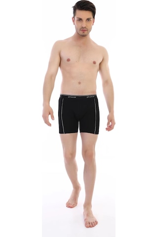 Epilons Zenvial Çift Kaplan 880 Elastanlı Erkek Boxer Zenviall2 Siyah