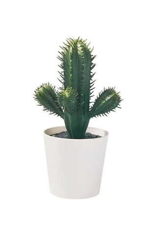 Tr Yapay Bitki, Yeşil, 6 Cm, Kaktüs, İç/dış Mekan Diğer