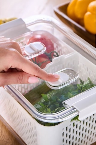 Karaca Citrus Sebze / Meyve Saklama Kabı L