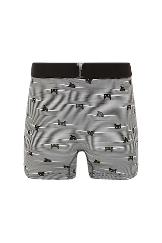 Farm Animals Yellow Eyed Hide N Cat Desenli Boxer gri