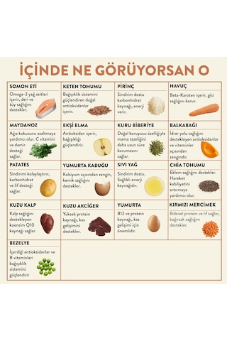 Kito Kuzu Etli Yavru Köpek Maması 2500 G + Kito Fresh Somon Etli Köpek Yemeği 6'lı
