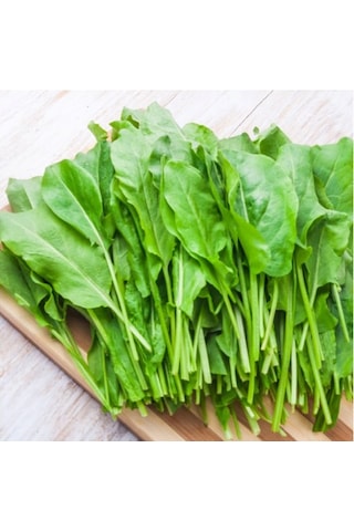250+ Kuzu Kulağı Otu Tohumu Limon Aromasında N112704