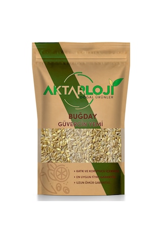 50 Gr Sert Buğday 1.kalite