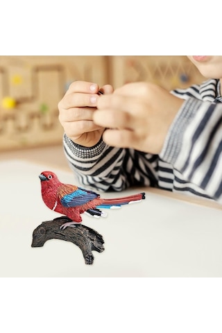 Trendooze Gerçekçi Kuş Figürü Eğitici Oyuncak, Masaüstü Takımlı
