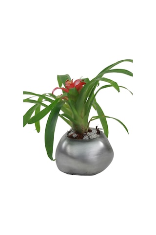 Saksı Çiçek Kaktüs Saksısı Lüx 14 Cm Elips Desen Saksı Çiçeklik - Gümüş Eskitme