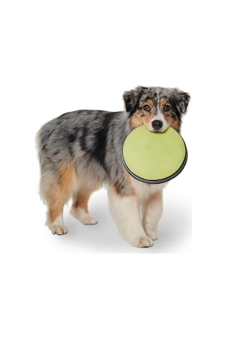Köpekler İçin Frizbi
