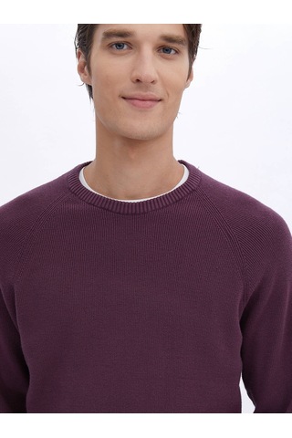 Kip Mürdüm Bisiklet Yaka Desenli Triko Çok Renkli