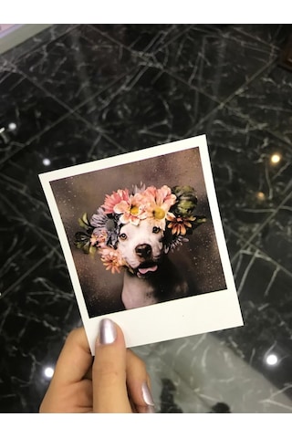 50 Adet Polokart Baskısı