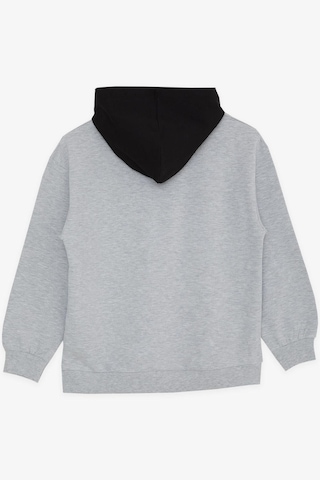 Breeze Erkek Çocuk Get Yazılı Sweatshirt-15360 Gri