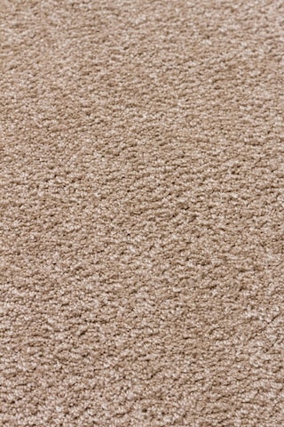 Eko Halı Zen Amorf 05 Beige Amorf Kesim Hav Toz Vermez Yumuşak Dokulu Salon Halısı Oturma Odası Halısı Yatak Odası Halısı Koridor Halısı Mutfak Halısı Modern Makine Halısı Bej