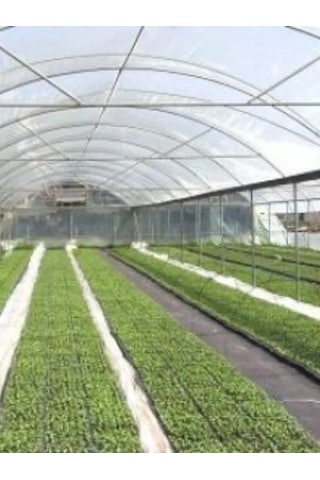 160 Micron Naylon Örtü, Şeffaf Su Geçirmez Naylon, 4x12 Metre