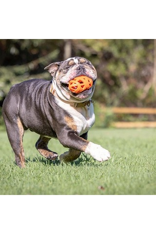 Chuckit Air Fetch Football Köpek Oyun Topu 14 Cm 260-50010.01