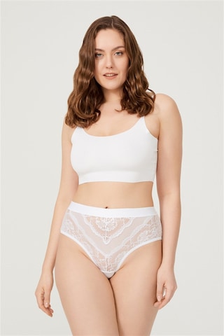 Cottonhill Dantelli Arkası Transparan Büyük Beden Bikini Külot 6'lı Paket Çok Renkli 1 Çok Renkli