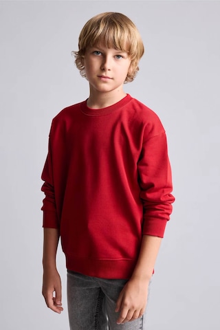 Defacto Bisiklet Yaka İçi Yumuşak Tüylü Basic Sweatshirt Erkek Çocuk I1419a826wnbr244 Kırmızı-br244