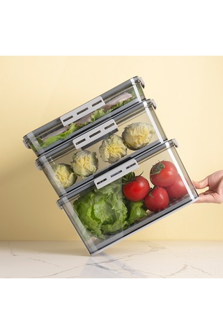 Springsun Dondurucu Saklama Kabı - Şeffaf, Sağlam Ve Pratik Buzdolabı Organizasyonu Diğer