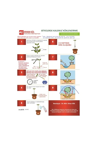 Ağaç Fidan Köklendirme Hormonu 4000 Ppm 100ML Kalem Batır Dik